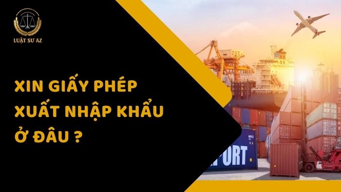 Xin giấy phép xuất nhập khẩu ở đâu